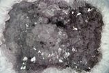 Las Choyas Coconut Geode Half with Amethyst & Agate - Mexico #145871-1
